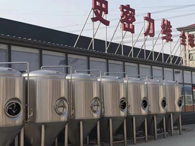 河口精酿啤酒设备厂—市场规模与跨界新需求